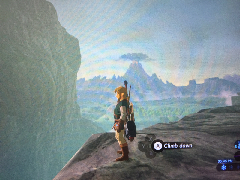 Illustration for article titled Here are Some of my Favorite Screenshots from The Legend of Zelda: Breath of the Wild